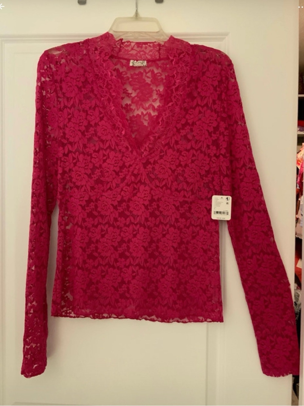 Free People Fuchsia Floral Lace V-Neck Long Sleeve Top
